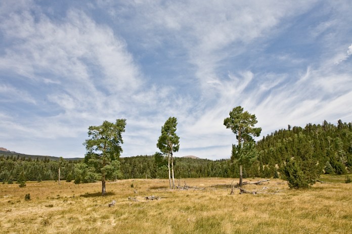 _MG_5571AS _MG_5571AS