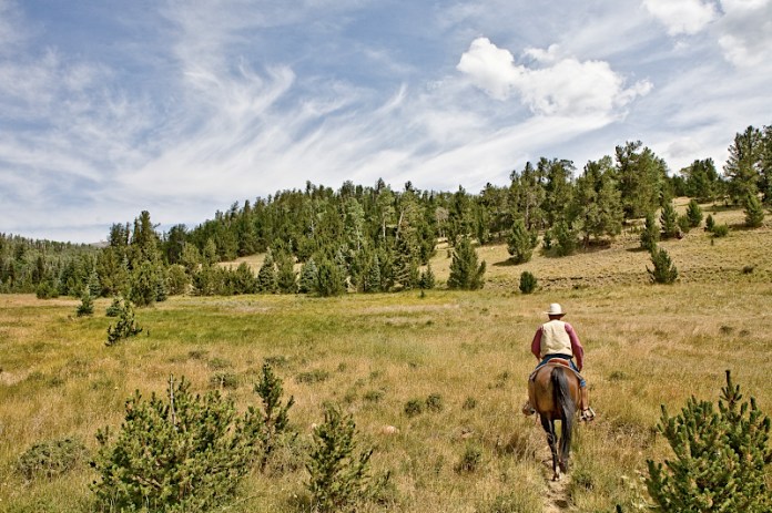 _MG_5573AS _MG_5573AS