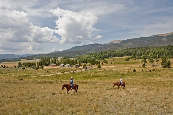 _MG_5575AS _MG_5575AS