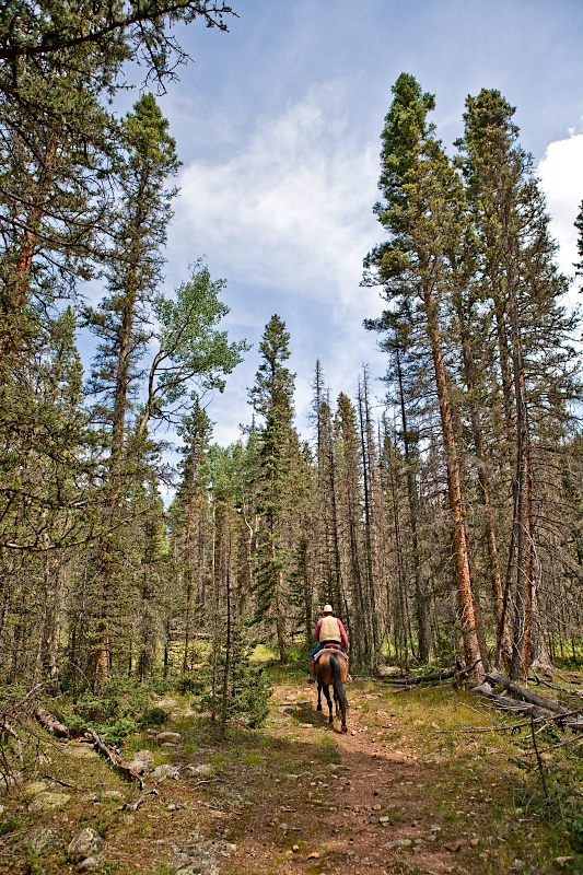 _MG_5594AS _MG_5594AS