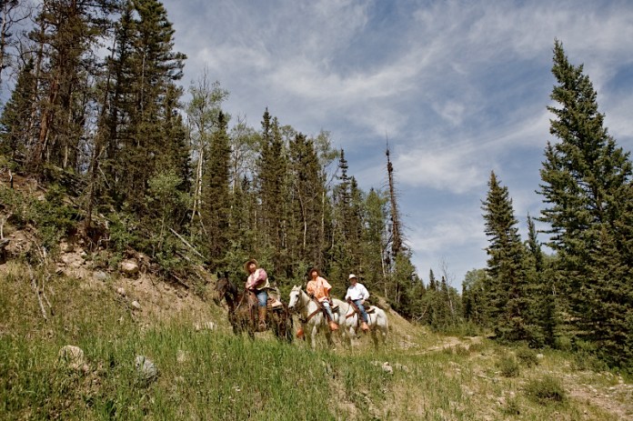 _MG_5612AS _MG_5612AS