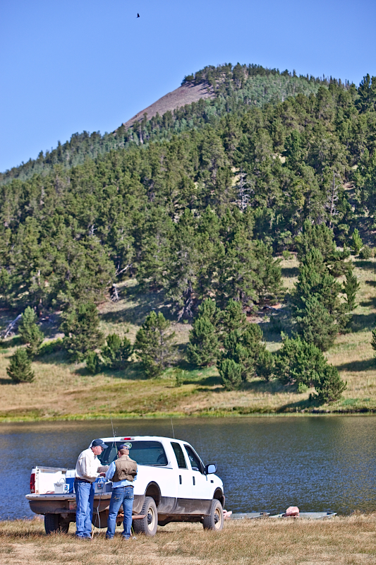 _MG_7208AS _MG_7208AS