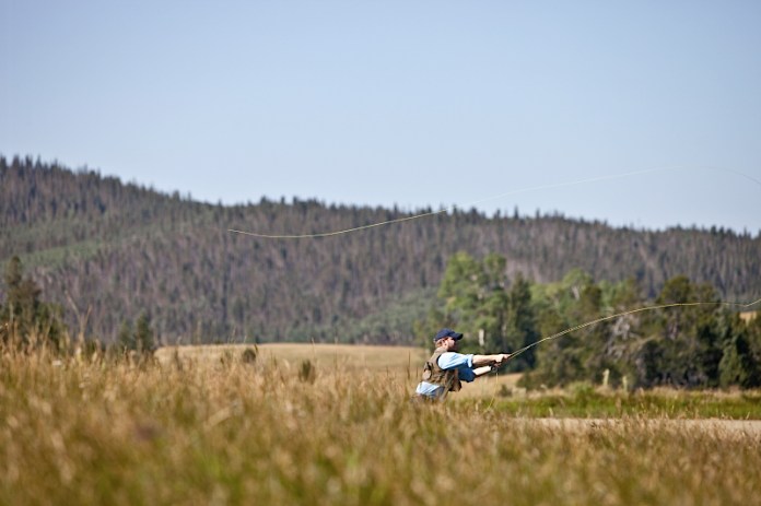 _MG_7232AS _MG_7232AS