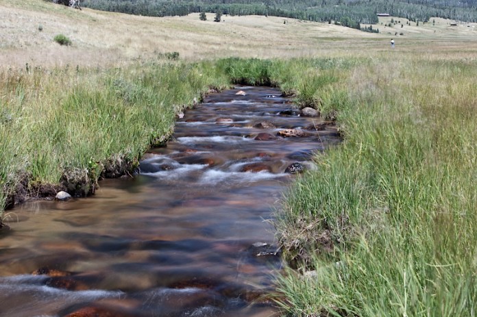 _MG_7548AS _MG_7548AS