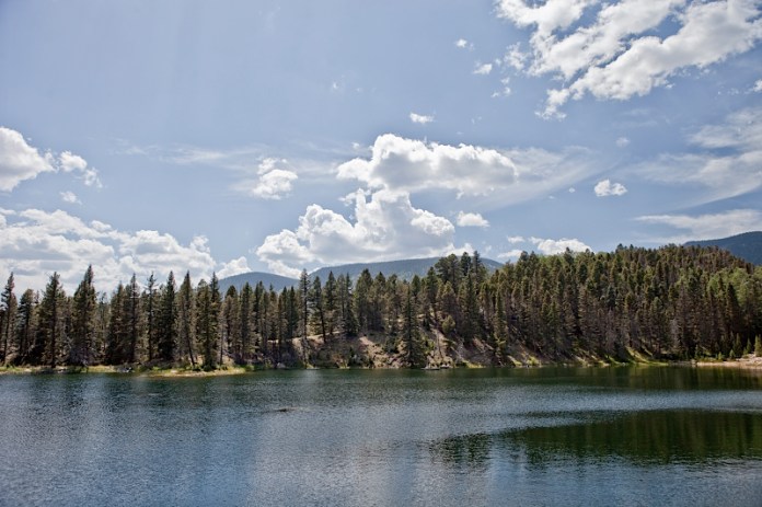 _MG_7594AS _MG_7594AS