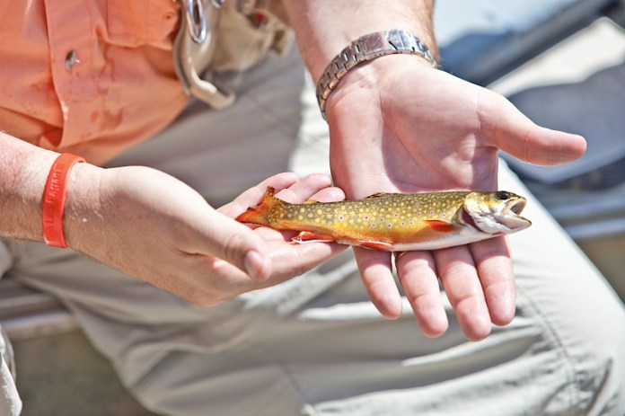 _MG_7729AS _MG_7729AS