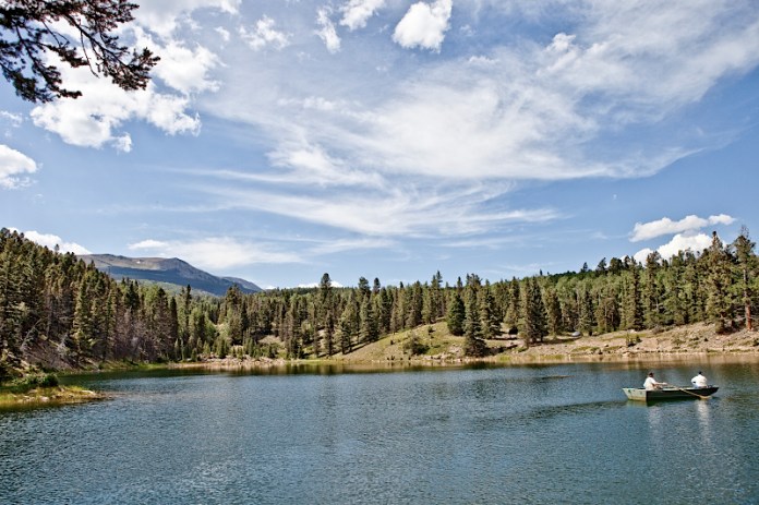 _MG_7774AS _MG_7774AS