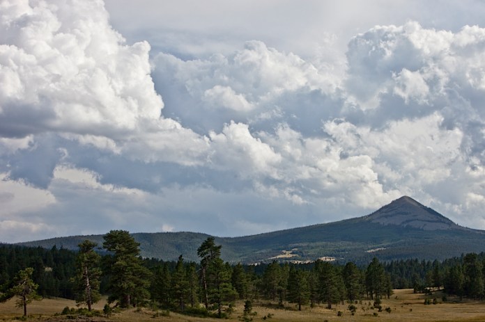 _MG_7802AS _MG_7802AS