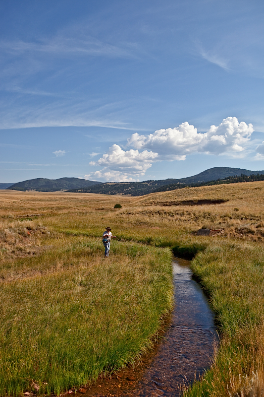 _MG_8013AS _MG_8013AS