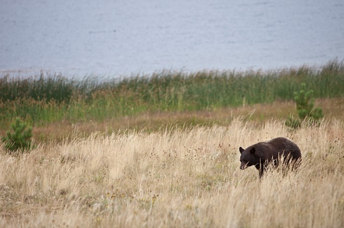 _MG_8080AS _MG_8080AS