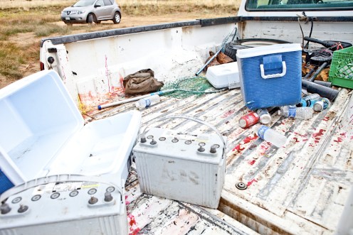 _MG_8102AS _MG_8102AS