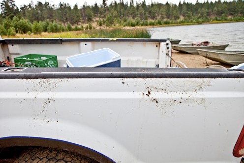 _MG_8103AS _MG_8103AS