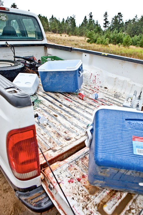 _MG_8104AS _MG_8104AS