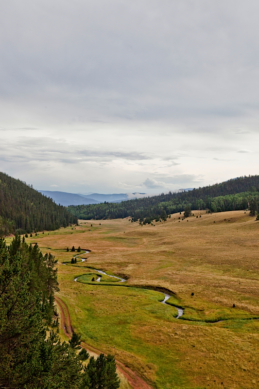 _MG_8110AS _MG_8110AS