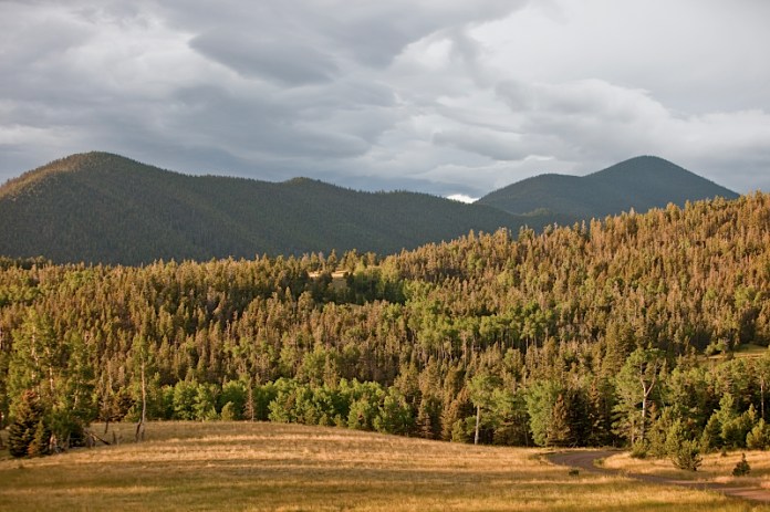 _MG_8165AS _MG_8165AS