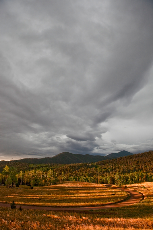 _MG_8168AS _MG_8168AS