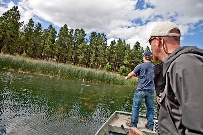 _MG_8463AS _MG_8463AS