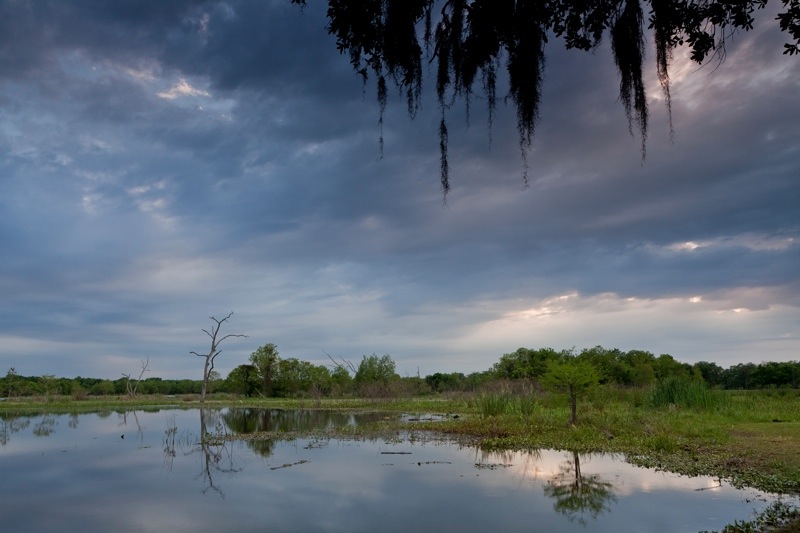 elm lake, brazos bend state park, texas
