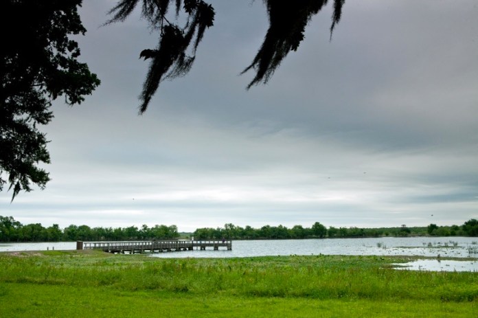 40 acre lake, brazos bend state park, texas