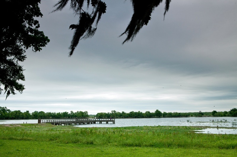 40 acre lake, brazos bend state park, texas