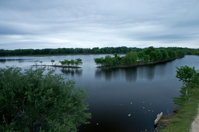 40 acre lake, brazos bend state park, texas