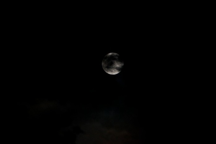 full moon, brazos bend state park, texas