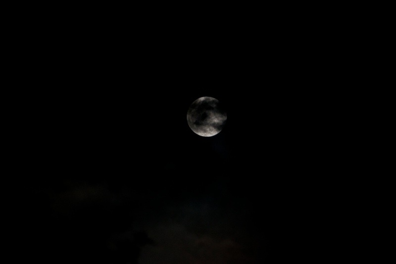 full moon, brazos bend state park, texas