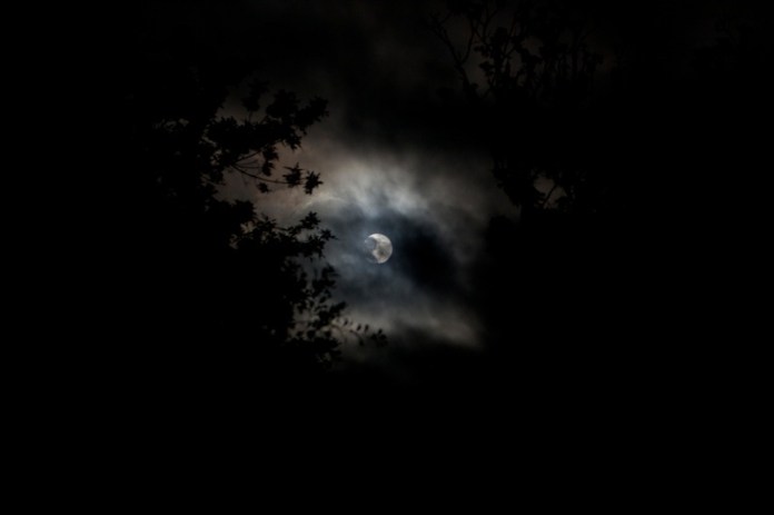 full moon, brazos bend state park, texas
