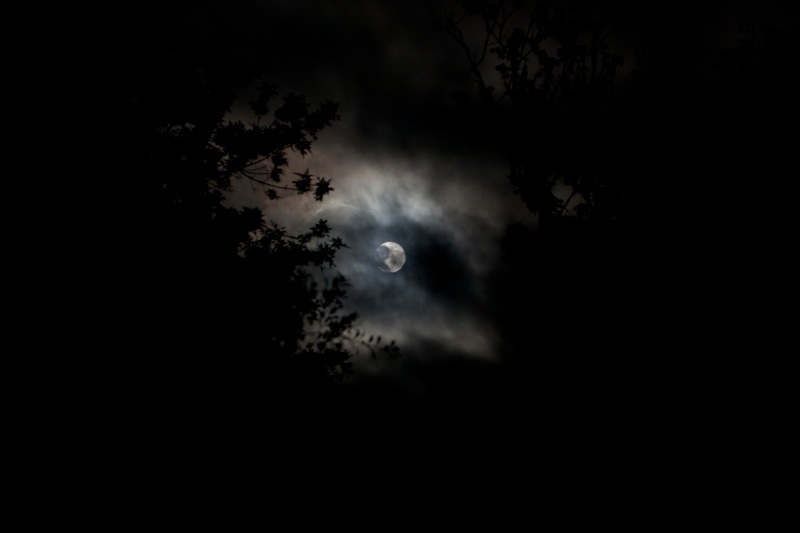 full moon, brazos bend state park, texas