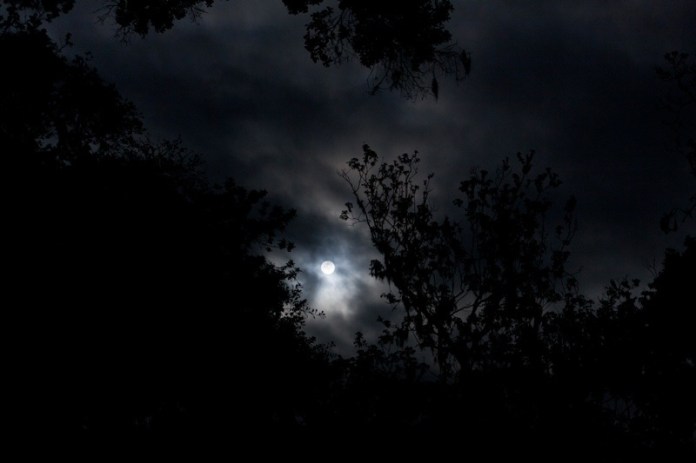 full moon, brazos bend state park, texas