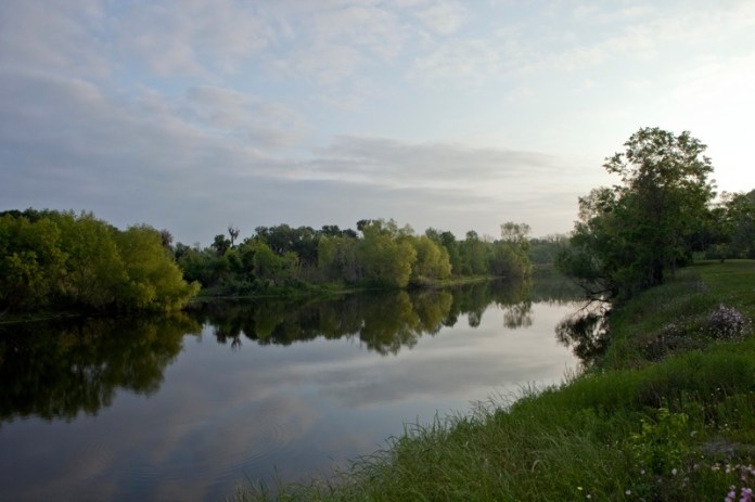 horseshoe lake, brazos bend state park, texas