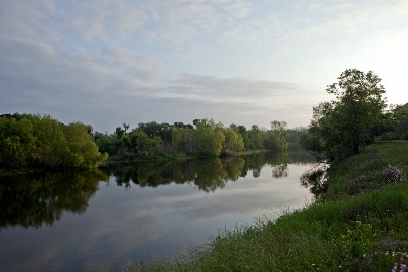horseshoe lake, brazos bend state park, texas