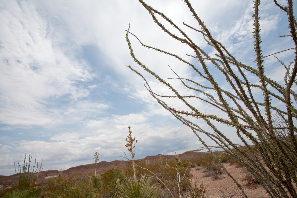 ARS_BBNP_blog_0713_0001