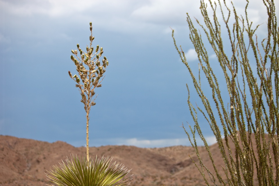 ARS_BBNP_blog_0713_0002