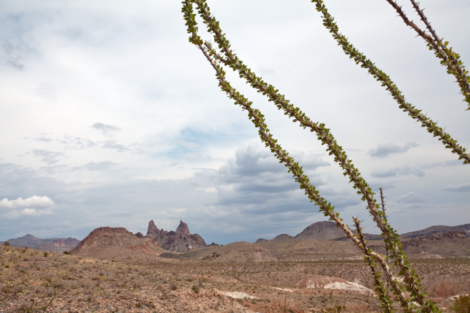 ARS_BBNP_blog_0713_0010