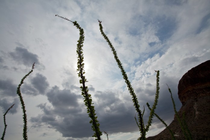 ARS_BBNP_blog_0713_0014