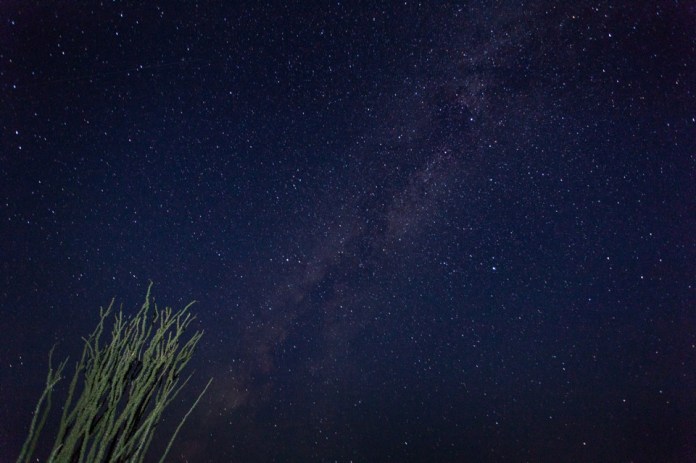 ARS_BBNP_blog_0713_0019