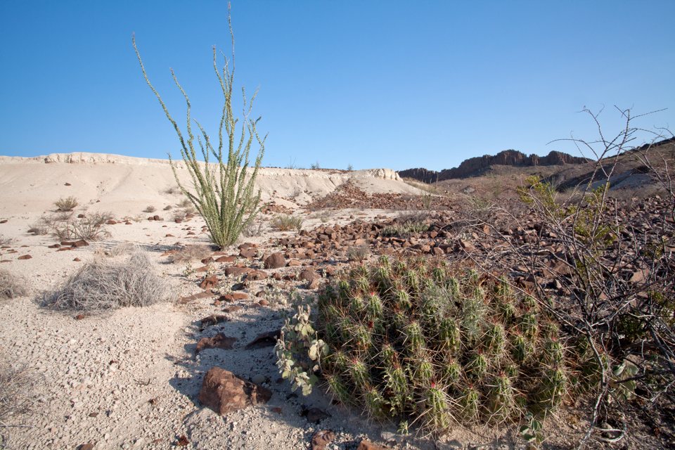 ARS_BBNP_blog_0713_0037