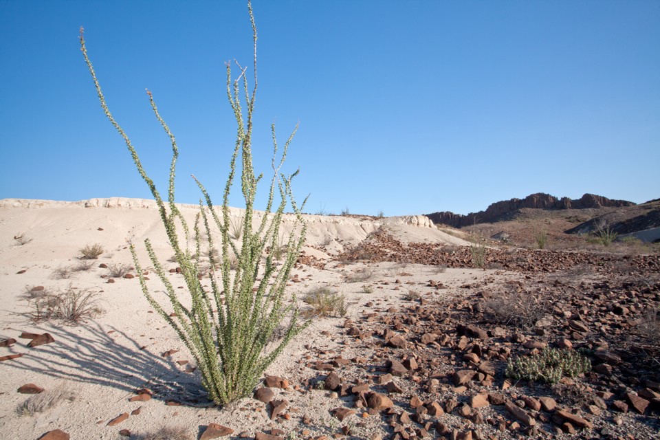 ARS_BBNP_blog_0713_0038