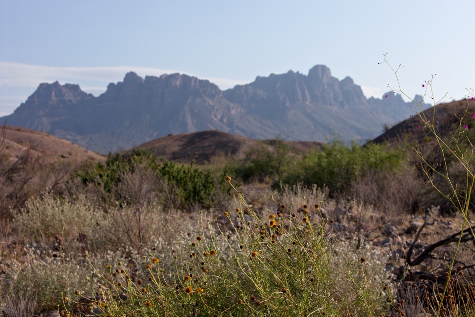 ARS_BBNP_blog_0713_0039