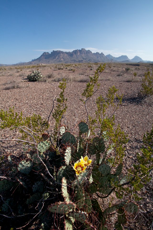 ARS_BBNP_blog_0713_0040