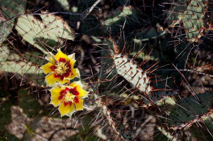 ARS_BBNP_blog_0713_0041