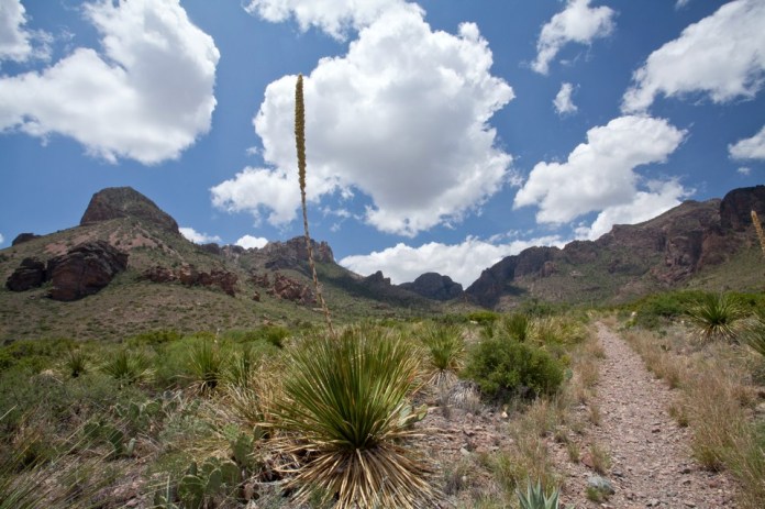 ARS_BBNP_blog_0713_0043