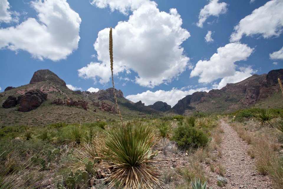 ARS_BBNP_blog_0713_0043