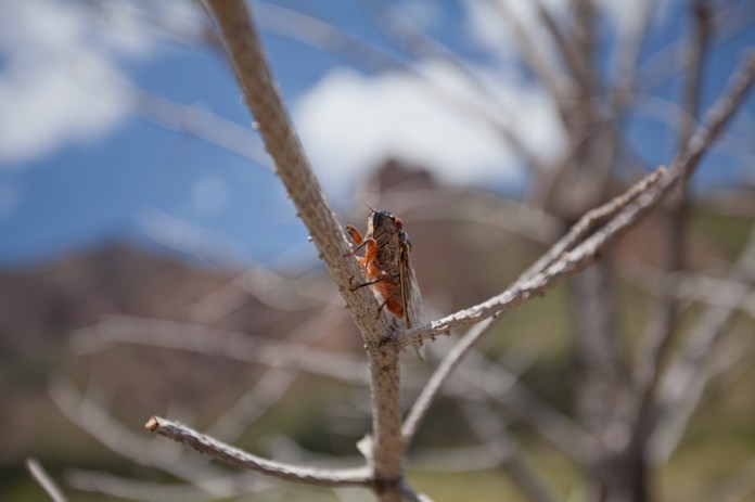 ARS_BBNP_blog_0713_0044