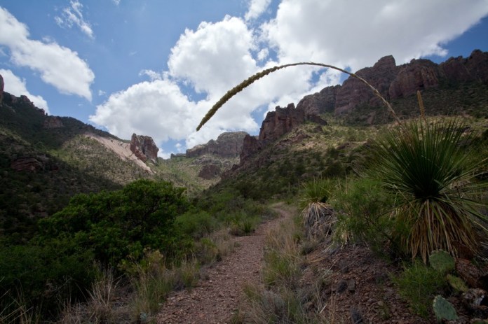 ARS_BBNP_blog_0713_0046