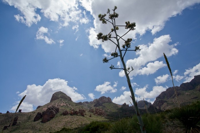 ARS_BBNP_blog_0713_0047