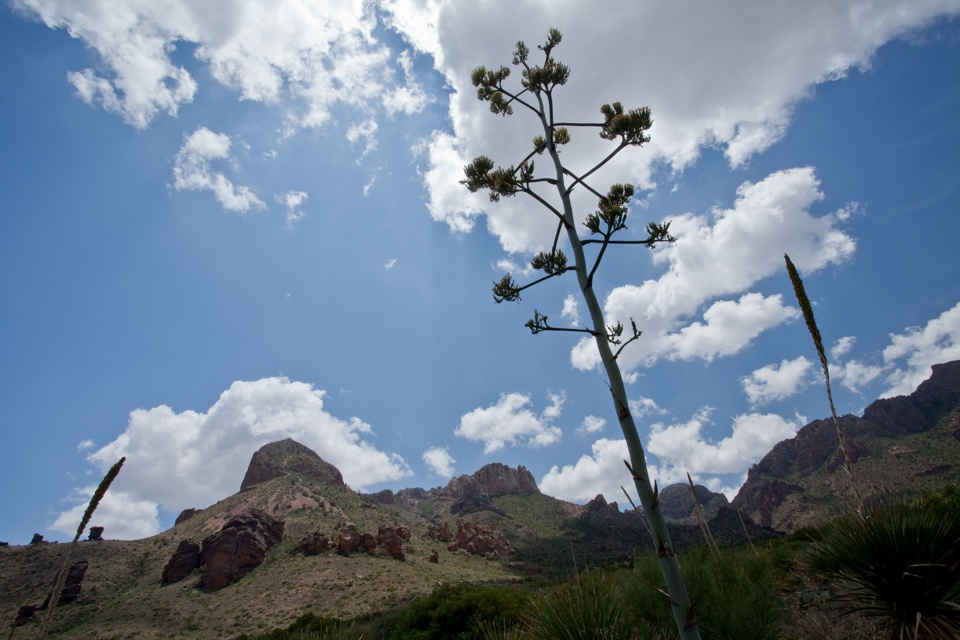 ARS_BBNP_blog_0713_0047