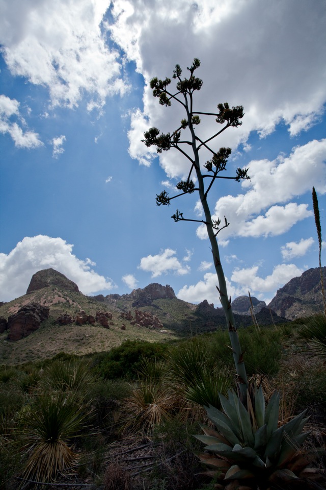 ARS_BBNP_blog_0713_0048