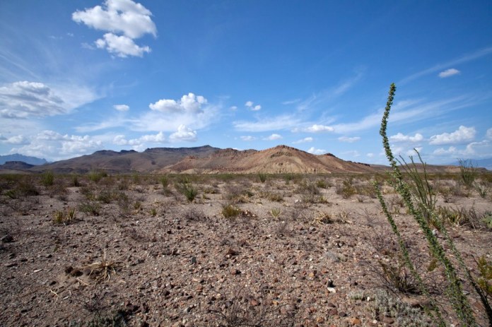 ARS_BBNP_blog_0713_0049